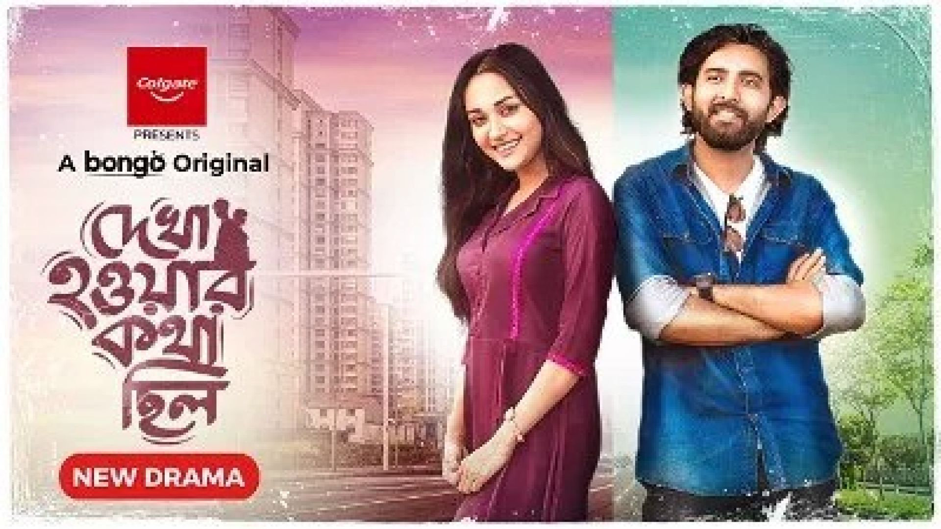 Dekha Howar Kotha Chilo (2024) Bengali Bongo WEB-DL